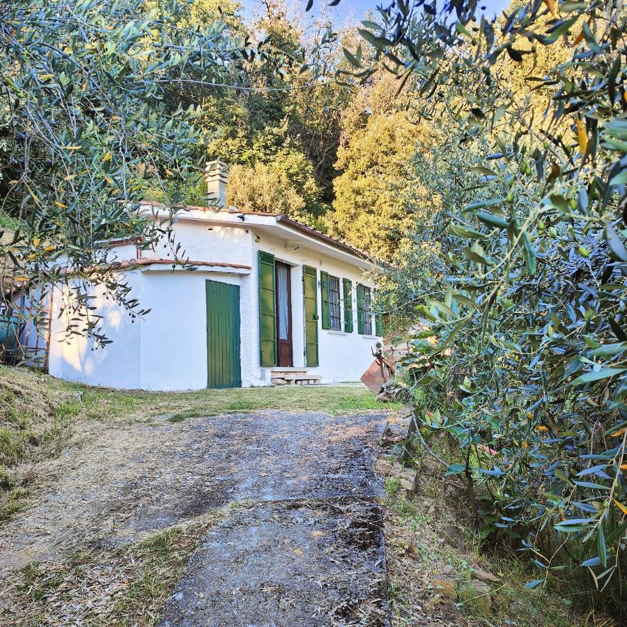 Massaciuccoli Romana Екстер'єр фото