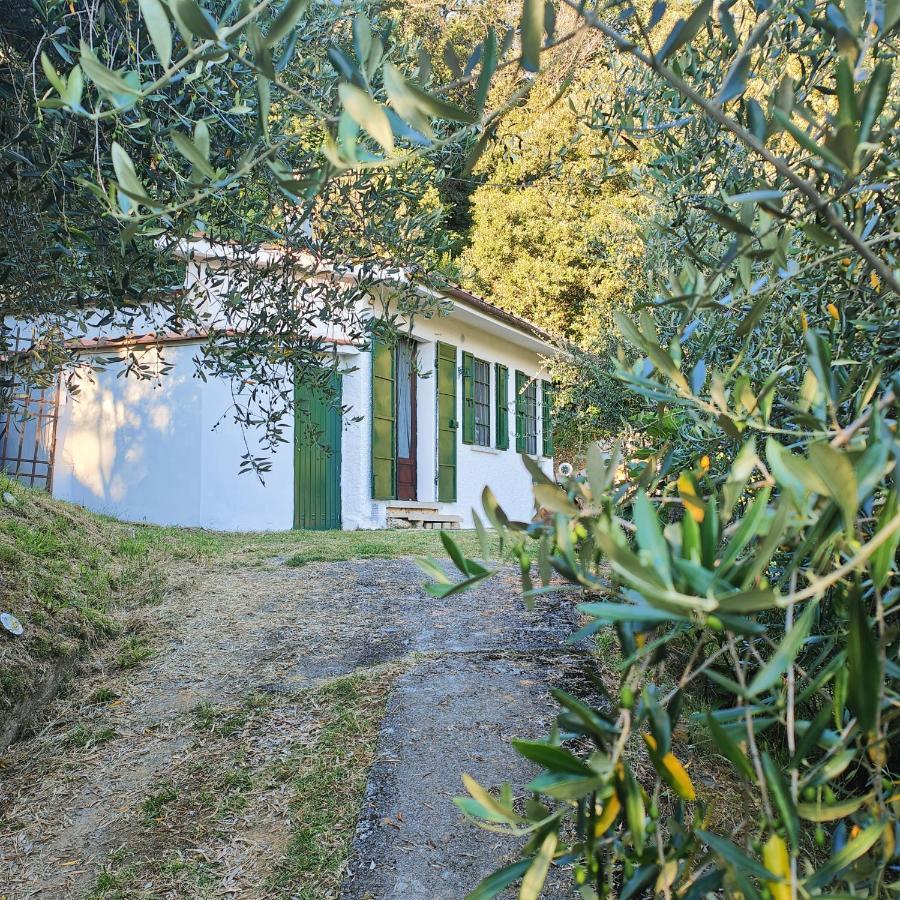 Massaciuccoli Romana Екстер'єр фото