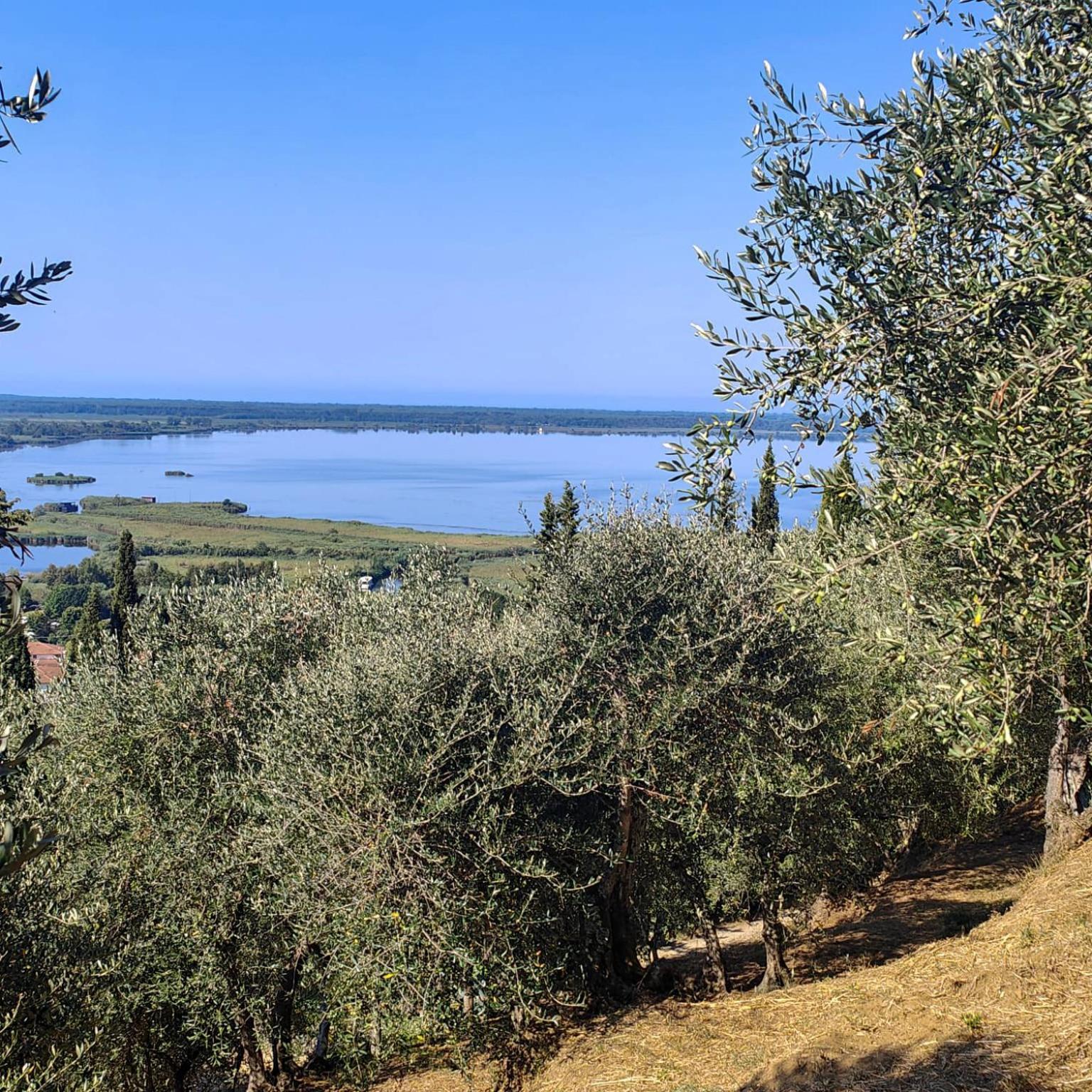 Massaciuccoli Romana Екстер'єр фото